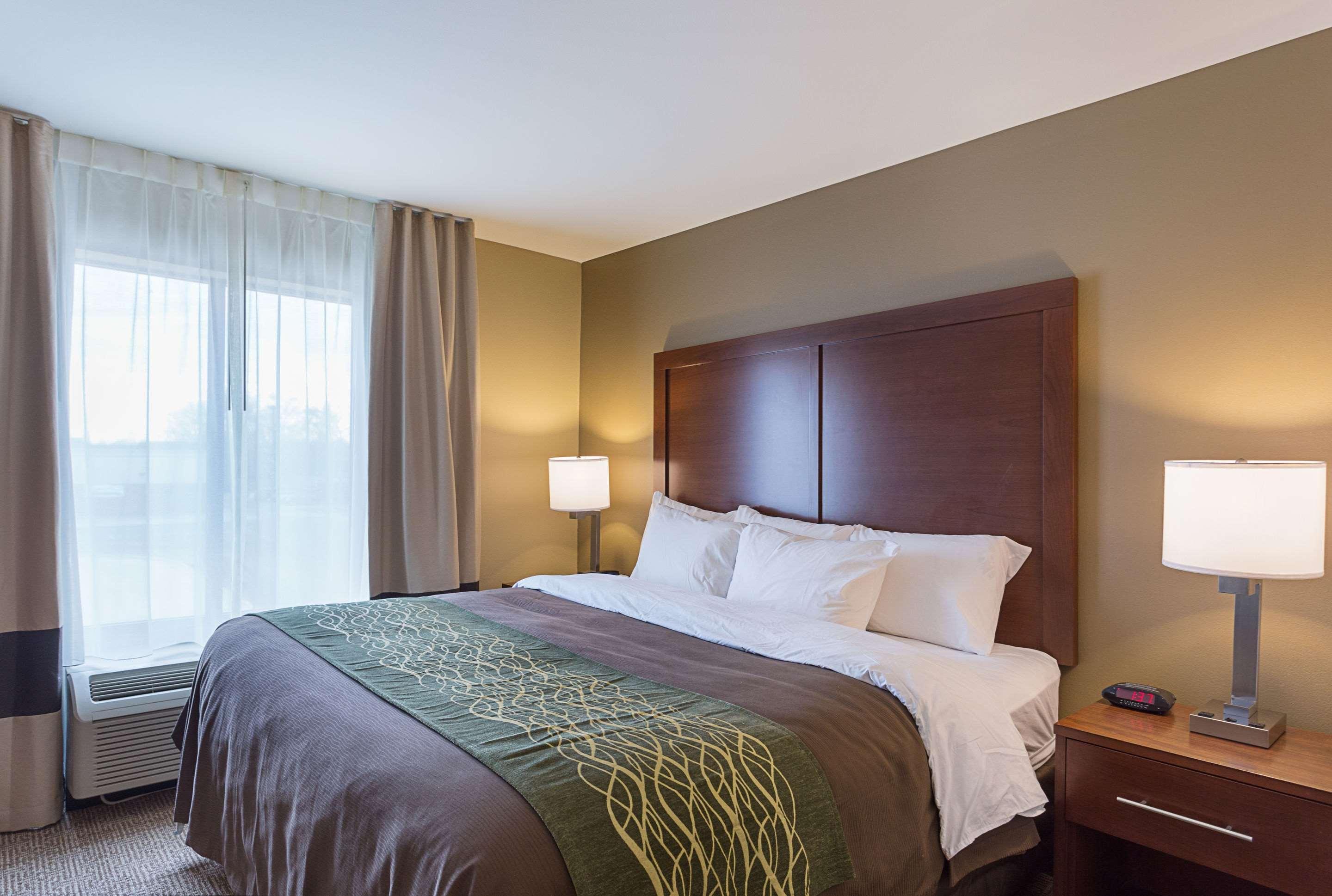 Comfort Inn & Suites Zachary Bagian luar foto