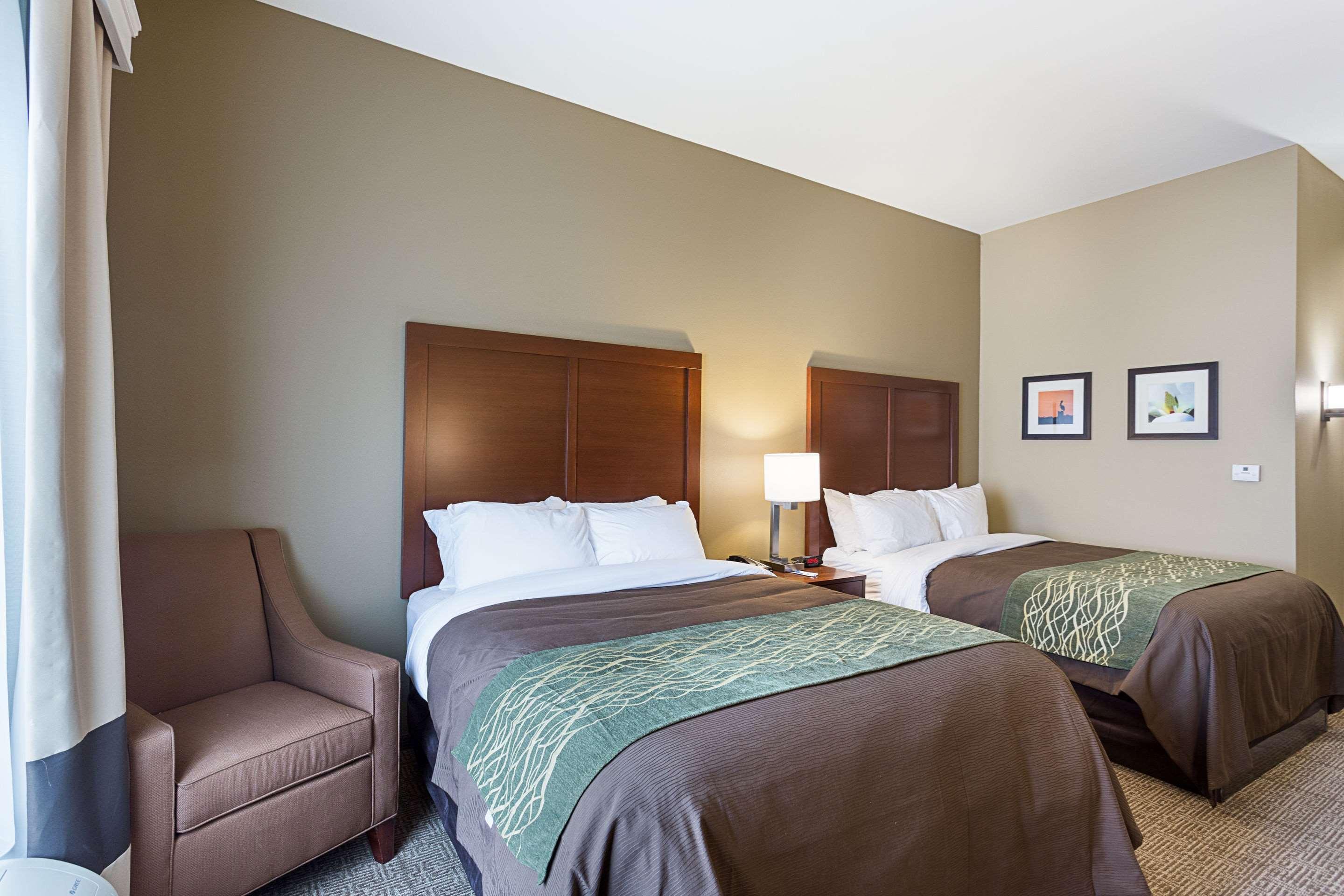 Comfort Inn & Suites Zachary Bagian luar foto